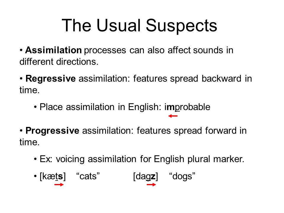 What are the types of assimilation in linguistics?